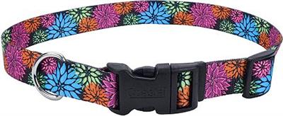 PET ATTIRE Styles Adjustable Collar 3/4 x 14-20 Wild Flower